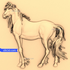 Majestic Stallion