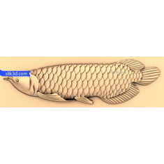 Majestic Arowana
