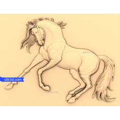 Majestic Stallion