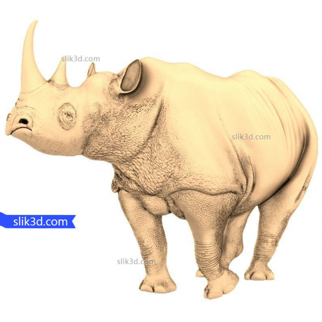 Le rhinocéros n ° 1