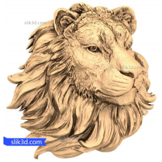 Majestic Lion Head