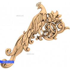 ظریف زینت طاووس