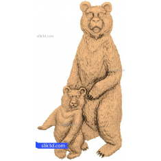 ครอบครัวหมี