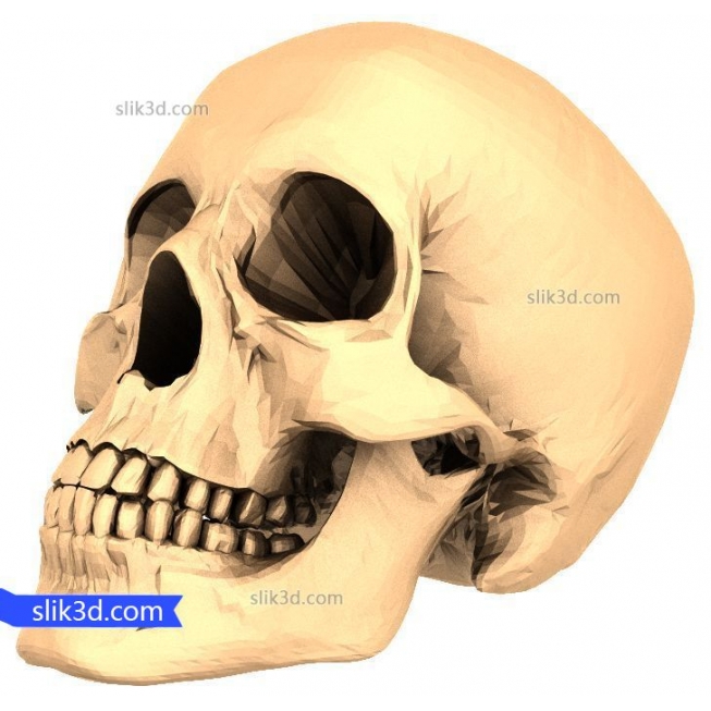 Statuette "Skull" | STL - 3D model for CNC