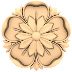 Floral Harmony
