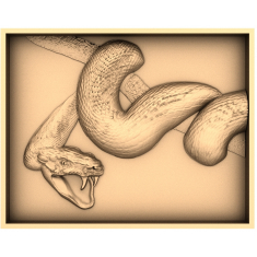 Serpent's Embrace