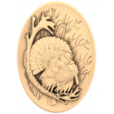 Majestic Wild Turkey Relief