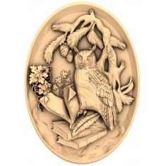 Wise Owl