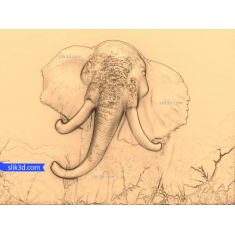 Majestic Elephant Relief