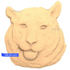 Busto de tigre majestuoso