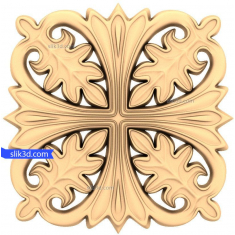 Cây thập tự Majestic Acanthus