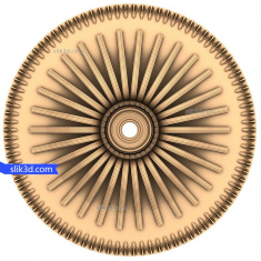Sunburst زینتی روزت