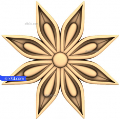 Bloemen elegantie