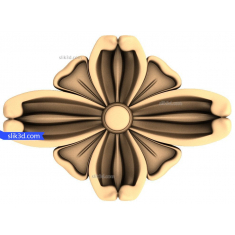 Bloemen elegantie