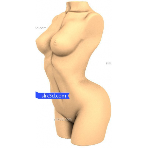 Eleganten 3D STL model trupa za CNC in 3D tiskanje Eleganten 3D STL model trupa za CNC in 3D tiskanje