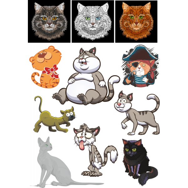 Okouzlující Kočka Vektorové Ilustrace Sada Okouzlující Kočka Vektorové Ilustrace Sada