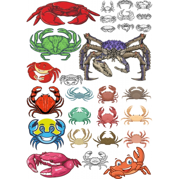 السلطعون Clipart Collection - ناقلات الرسوم التوضيحية في SVG & PNG السلطعون Clipart Collection - ناقلات الرسوم التوضيحية في SVG & PNG
