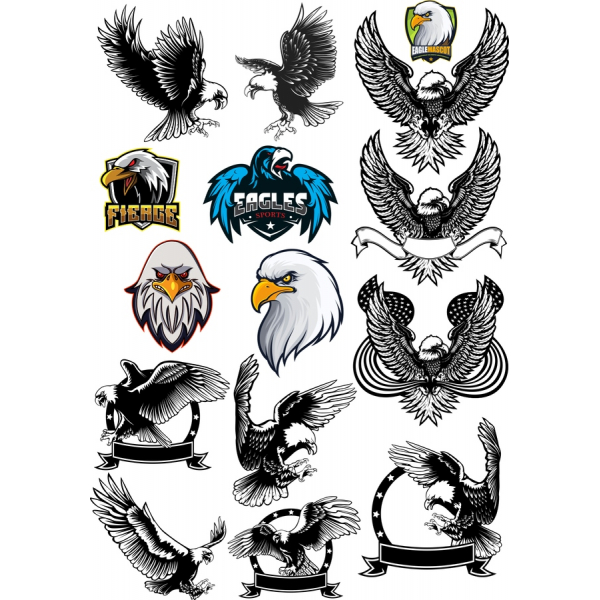 อินทรี Clipart เว็กเตอรจัดวางสาวสวยสุดเริ่ดตัวจริ SVG&amp;PNG Illustrations