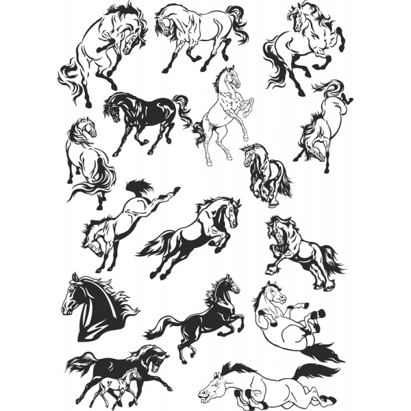 Dinamica Cavallo Clipart Vector Bundle Dinamica Cavallo Clipart Vector Bundle
