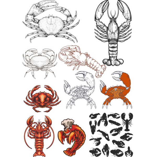 Crostaceo Clipart Bundle - Splendida Frutti Di Mare, Vettoriali Illustrazioni Crostaceo Clipart Bundle - Splendida Frutti Di Mare, Vettoriali Illustrazioni