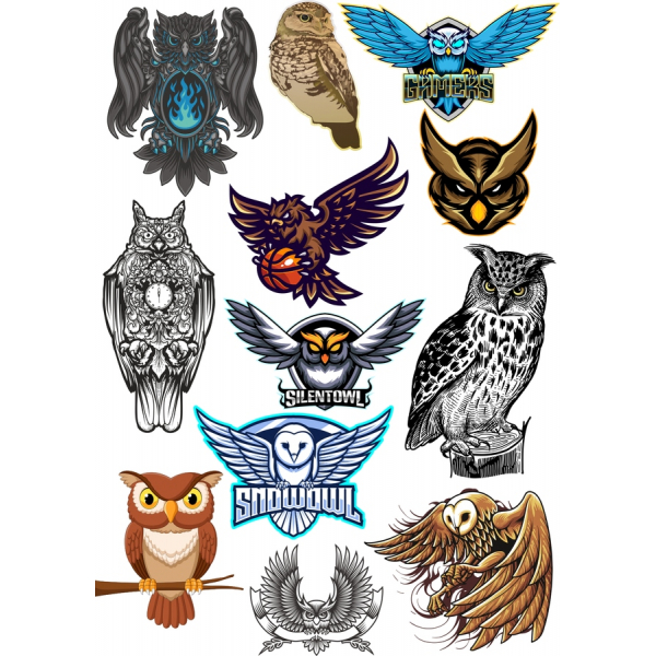 جغد Vector Clipart بسته نرم افزاری - خیره کننده SVG و PNG تصاویر