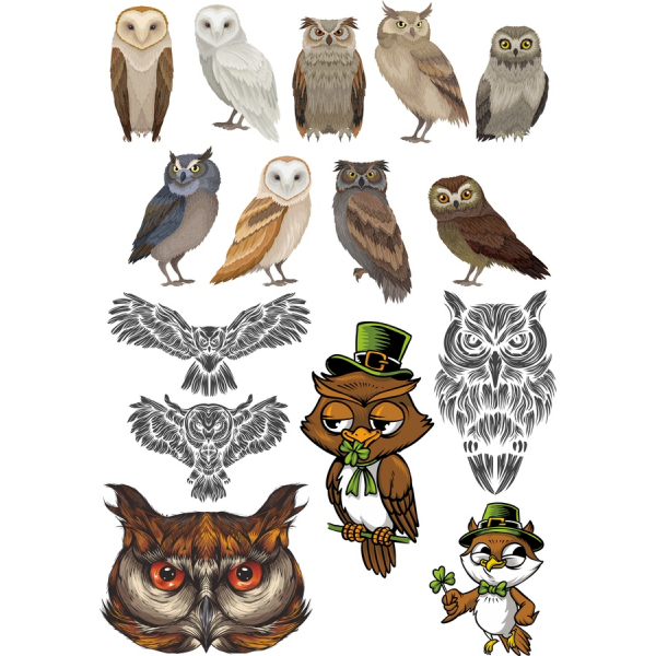 Ugle Vektor Clipart Sæt - 20 Unikke og Charmerende Illustrationer Ugle Vektor Clipart Sæt - 20 Unikke og Charmerende Illustrationer