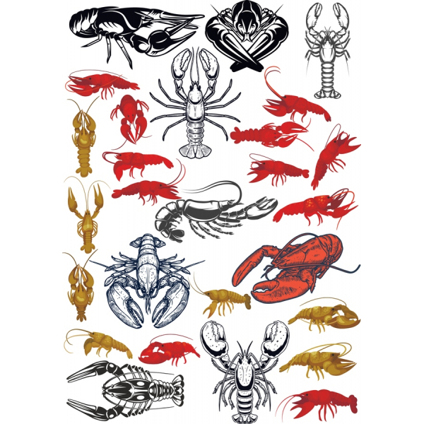 Vector Lobster and Shrimp Clipart Bundle Vector Lobster and Shrimp Clipart Bundle