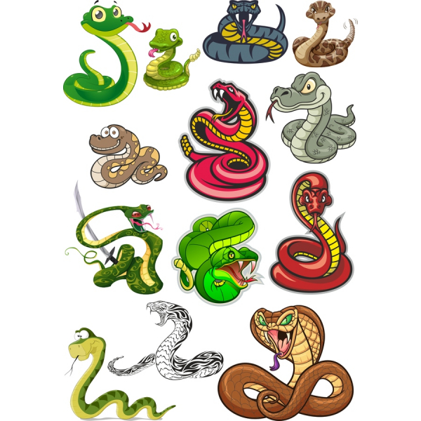 مار Vector Clipart بسته نرم افزاری - 12 منحصر به فرد تصاویر مار Vector Clipart بسته نرم افزاری - 12 منحصر به فرد تصاویر