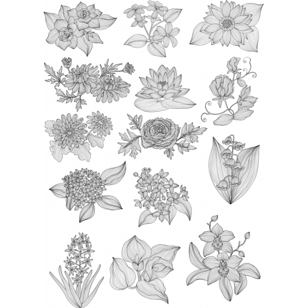 Floral Ilustrações Vetoriais Bundle - SVG & PNG Cliparts Floral Ilustrações Vetoriais Bundle - SVG & PNG Cliparts