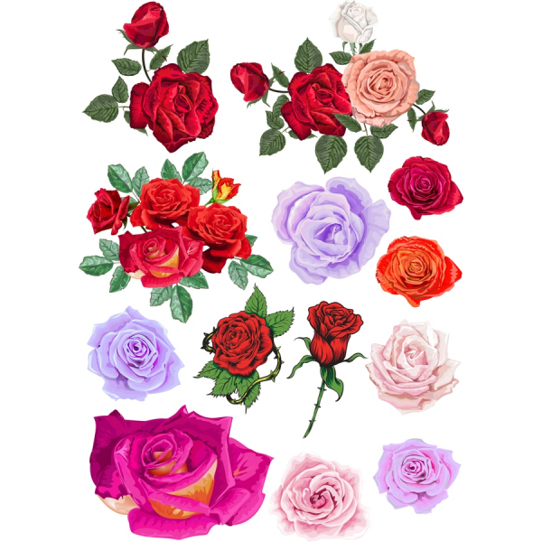 Vector Rose Collection - Atemberaubende Florale Clipart Bundle