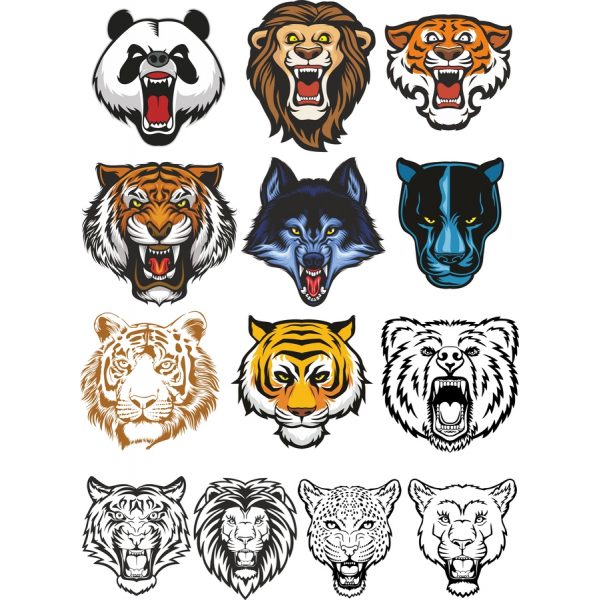 Feroz Animal Faces De Ilustração Vetorial Definido Feroz Animal Faces De Ilustração Vetorial Definido