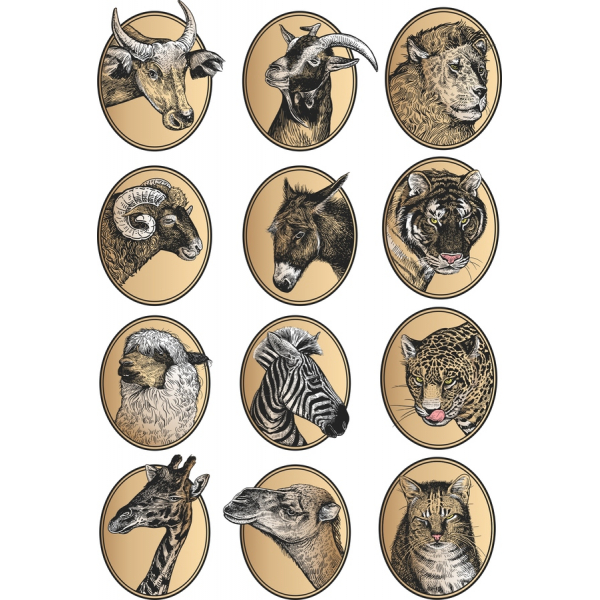 Tier Portraits Vector Clipart-Set