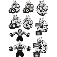 Animal Power Fitness Bundle