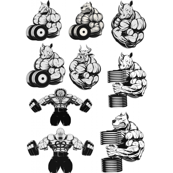 Animal Power Fitness Vector Bundle Animal Power Fitness Vector Bundle