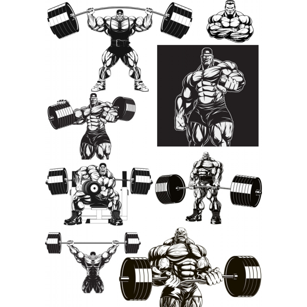 Premium Muscular Weightlifting Vector Clipart Bundle