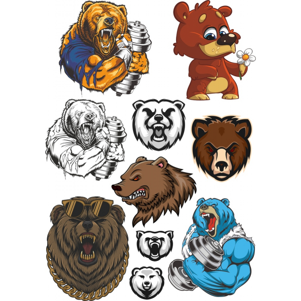 Oso Vector de imágenes Prediseñadas Set - SVG & PNG Paquete Oso Vector de imágenes Prediseñadas Set - SVG & PNG Paquete