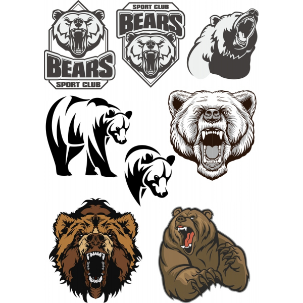 Ber Íþrótt Club Vektor Clipart Búnt Ber Íþrótt Club Vektor Clipart Búnt