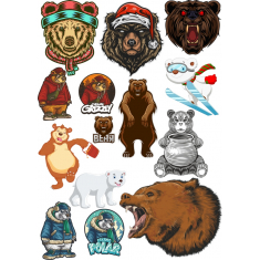 Bear-Themed Set: 16 Einzigartig