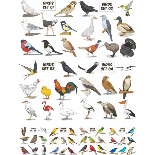 Birds Vector Clipart Set - Stunning Illustrations for All Your Creative Projects Birds Vector Clipart Set - Stunning Illustrations for All Your Creative Projects
