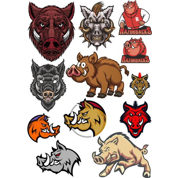 Wildschwein Vektor-Illustrationen-Bundle Wildschwein Vektor-Illustrationen-Bundle