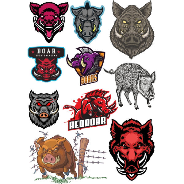 Vildsvin Vektor Clipart Samling Vildsvin Vektor Clipart Samling