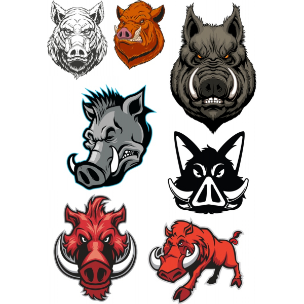 Premium Cinghiale Vettoriale Clipart Collezione Premium Cinghiale Vettoriale Clipart Collezione