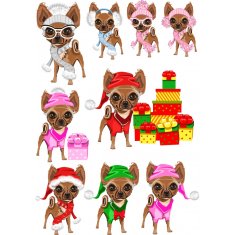 Chihuahua Pilte PNGs ja Vektorid Vahetu Digitaalne Allalaadimine