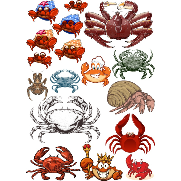 پیچیده Clipart, Collection - پر جنب و جوش تصاویر وکتور خرچنگ پیچیده Clipart, Collection - پر جنب و جوش تصاویر وکتور خرچنگ