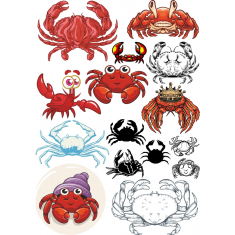 Crab Set - 12 Unique