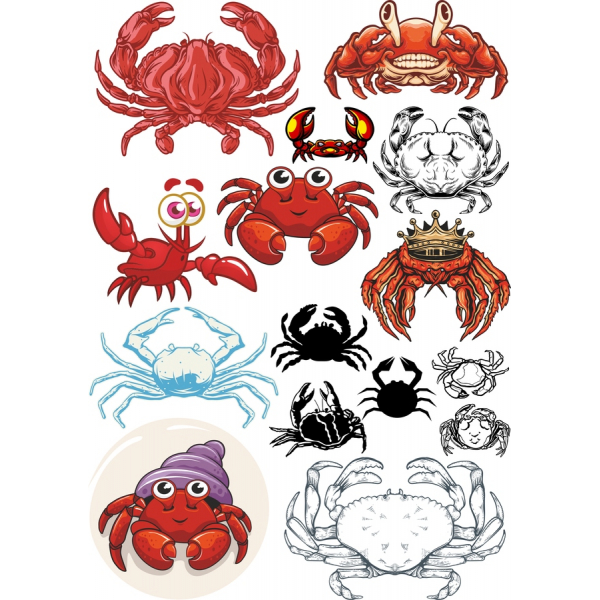 Crab Vector Clipart Set - Fun Marine Life Illustrations Crab Vector Clipart Set - Fun Marine Life Illustrations