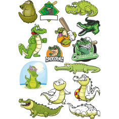 Crocodile Set
