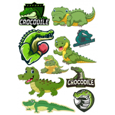 Crocodile Bundle
