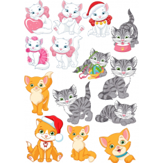 Carino Gatto Set