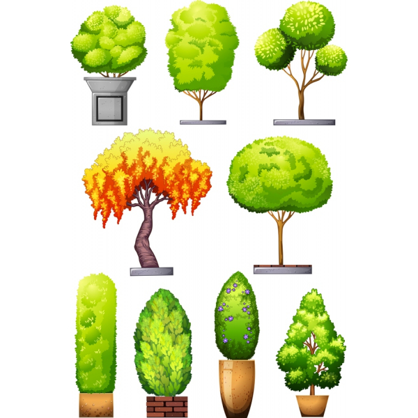 Bujna Drvo i Pogon Vektor Clipart Snop